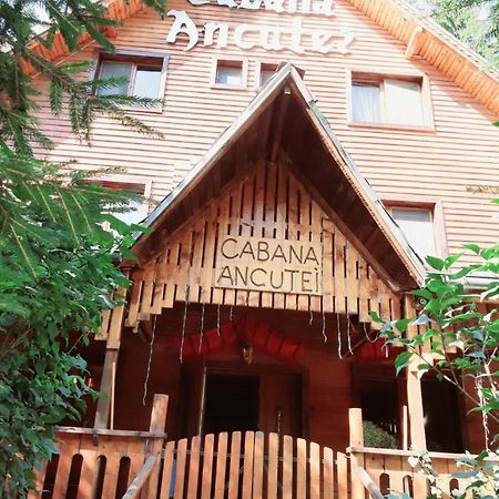 Cabana Ancutei Rucăr Exterior photo