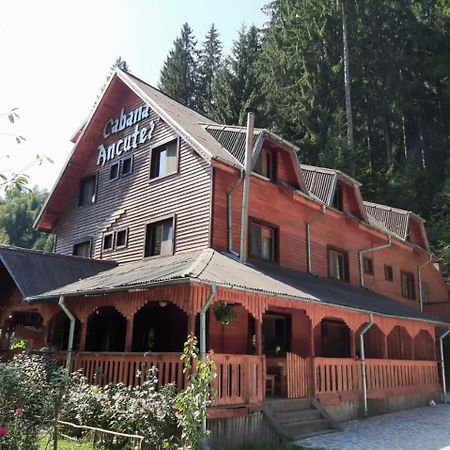 Cabana Ancutei Rucăr Exterior photo