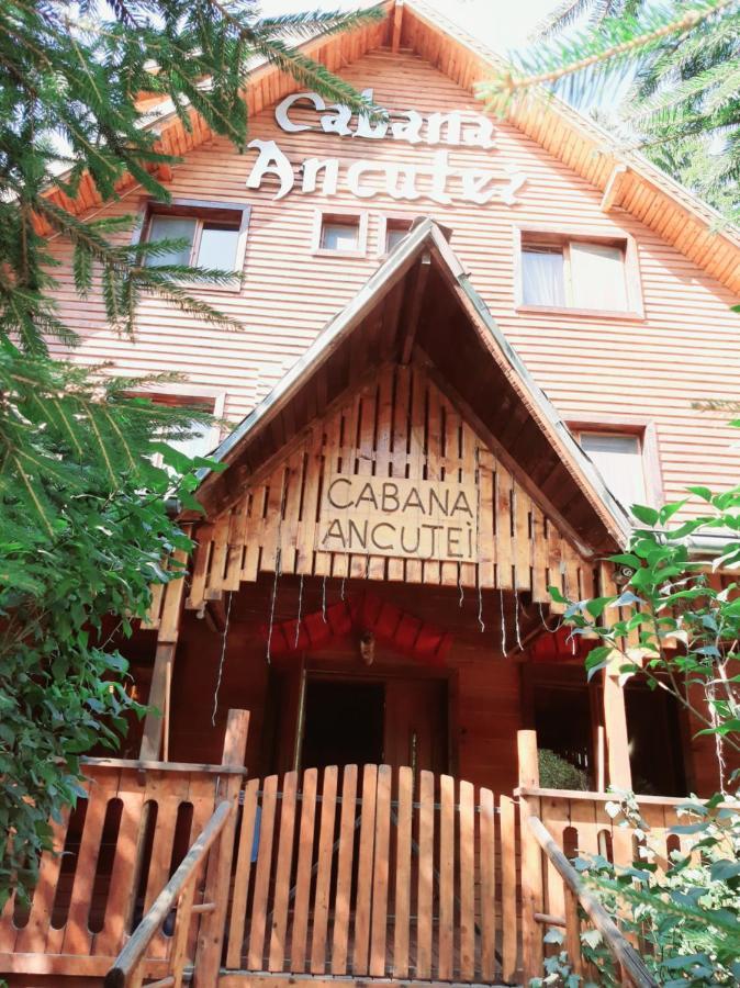 Cabana Ancutei Rucăr Exterior photo