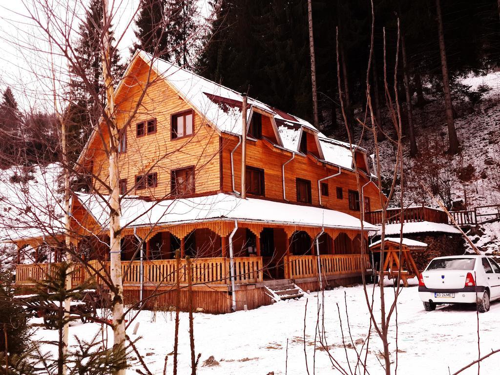 Cabana Ancutei Rucăr Exterior photo
