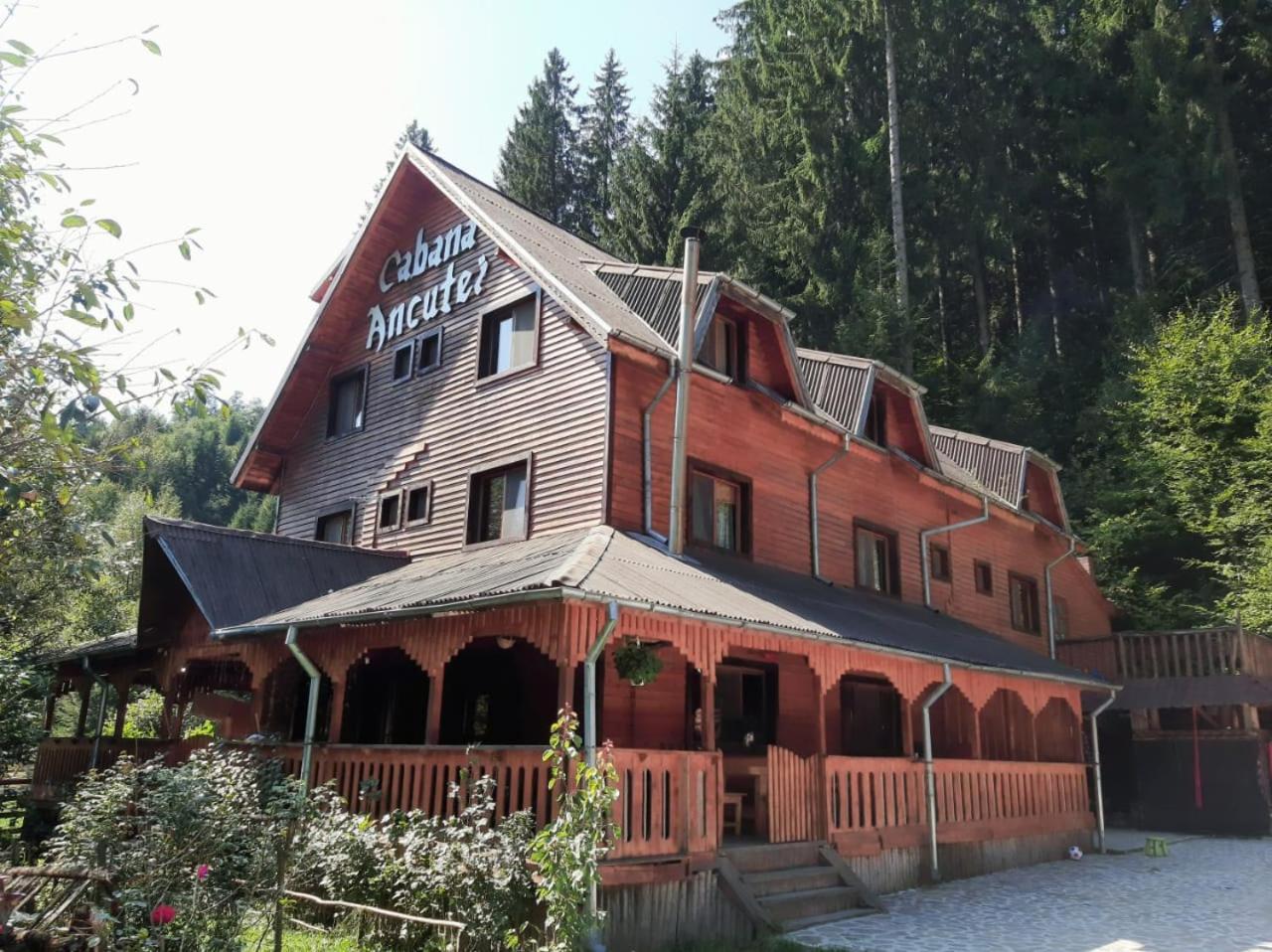 Cabana Ancutei Rucăr Exterior photo