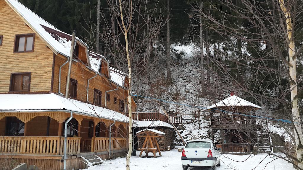 Cabana Ancutei Rucăr Exterior photo