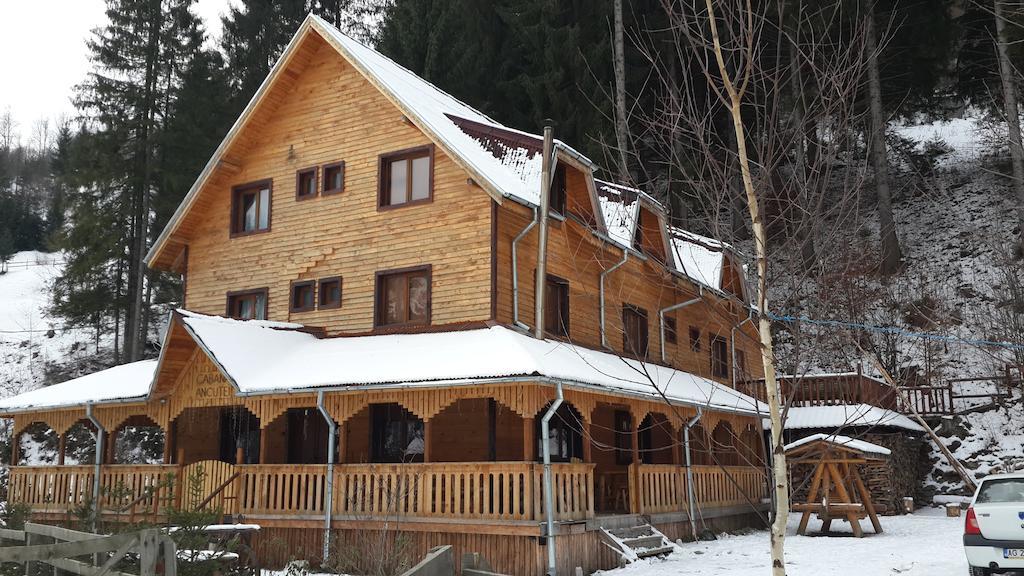 Cabana Ancutei Rucăr Exterior photo