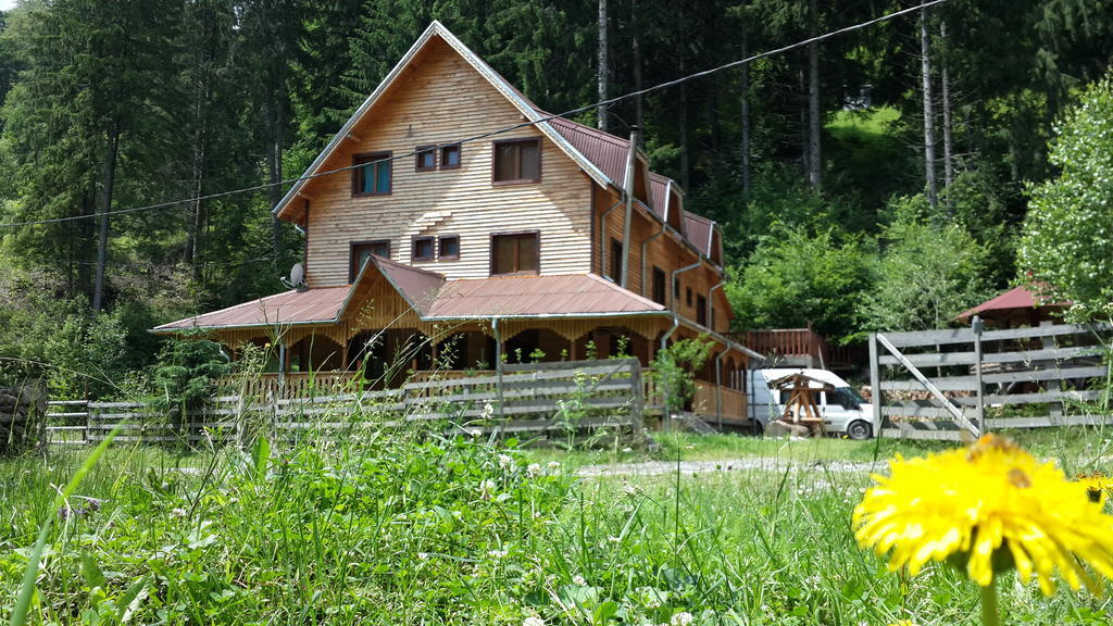 Cabana Ancutei Rucăr Exterior photo