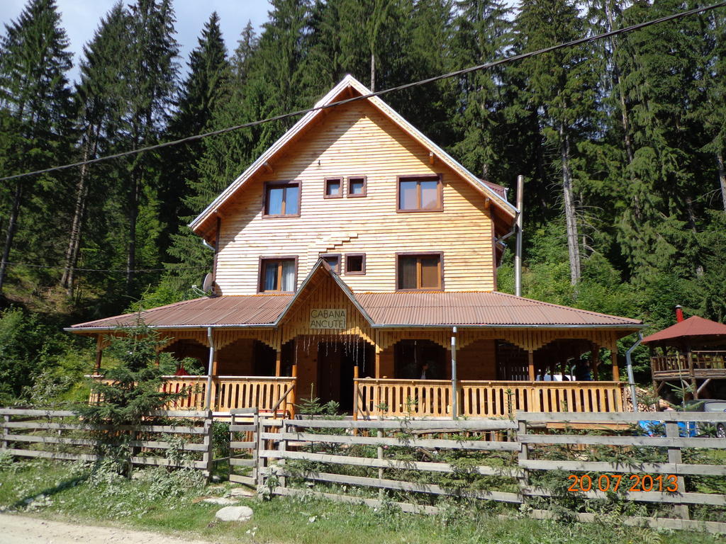 Cabana Ancutei Rucăr Exterior photo