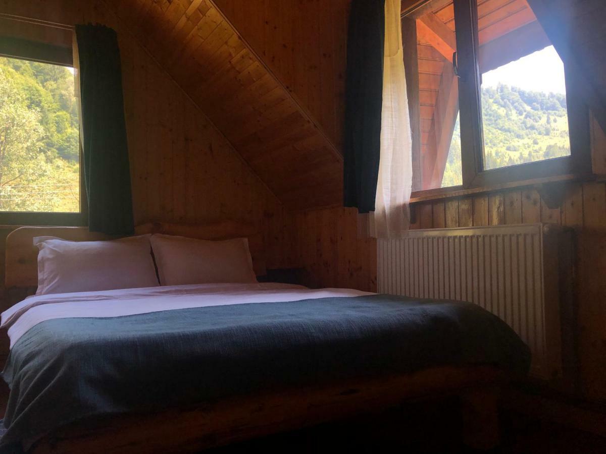 Cabana Ancutei Rucăr Exterior photo